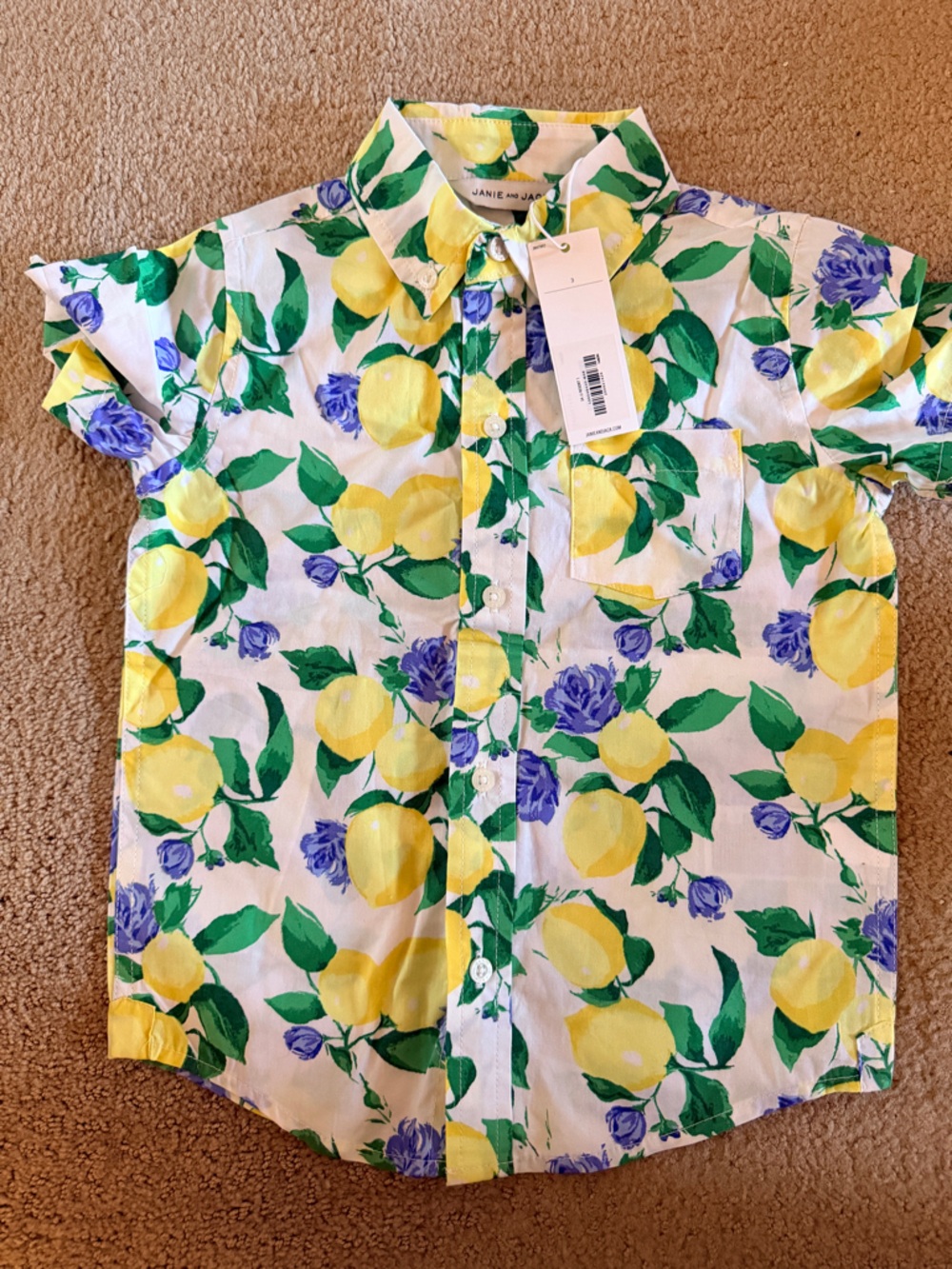 Janie and Jack Yellow Green Blue Floral and Lemon Button-Up